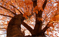 ip攻击器网页版