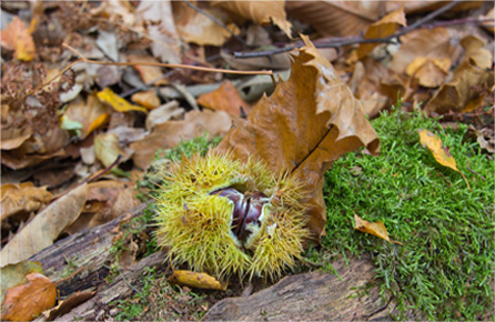 【高级版】功能齐全的DDOS网页端平台