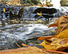 无需重启生效的DDOS网页端平台